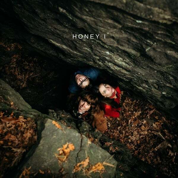 Cover art for Honey I
